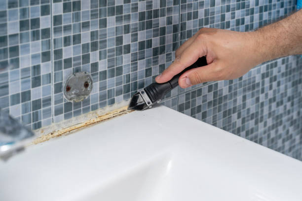 Best Fast Mold Removal  in Senatobia, MS